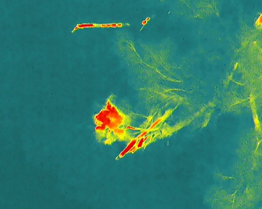Imagen térmica de una mancha sobre el agua con contraste marcado